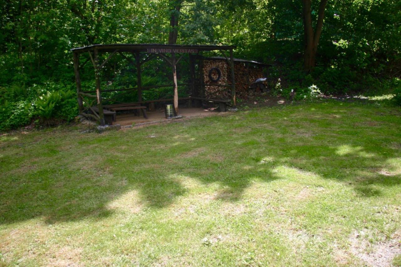Villa Sunshine / Slunecna Vila Krásná Lípa Extérieur photo